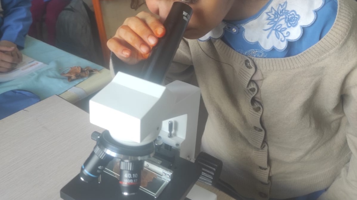 Mikroskopla İnceleme Çalışmaları